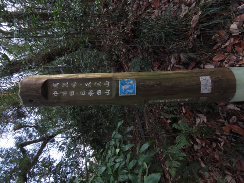 日和田山、物見山